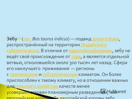 Презентація на тему зебу це дика корова або бик але її привчають зебу 1 (лат