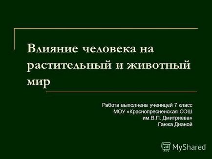 Презентація на тему зебу це дика корова або бик але її привчають зебу 1 (лат