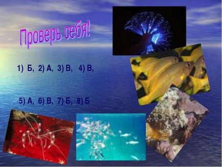 Prezentare pe tema geografie pe tema vieții oceanului 7 free download