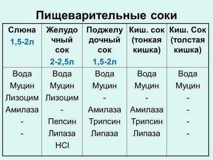 Причини і лікування слизу в шлунку - що це значить і як позбутися