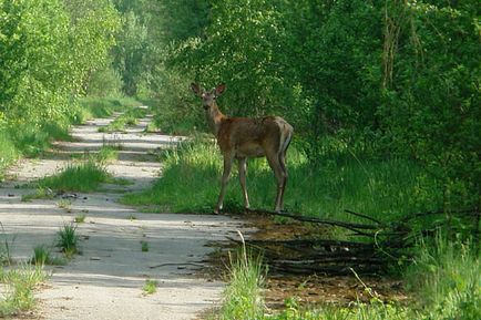 Natura sau persoana - cine va câștiga