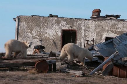 Natura sau persoana - cine va câștiga