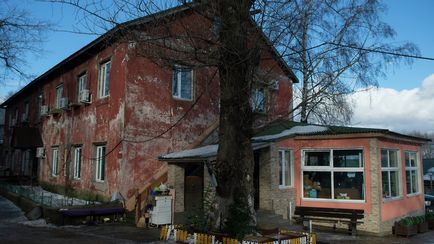 Притулок бійцівських собак в Підмосков'ї «важкі» вихованці і сосиски з ліками - фото - ріамо