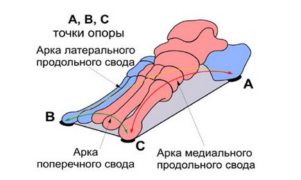 Profesor Bubnovsky de bază 10 exerciții pentru articulații și coloanei vertebrale