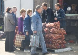 Виробництво картоплі в россии - все про картоплю