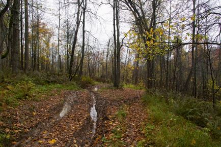 Călătorie spre cascada de atism - aventură