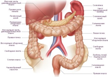 Tratamentul cancerului intestinal al medicamentelor populare - 11 moduri!