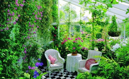 Рослини в інтер'єрі вашого будинку