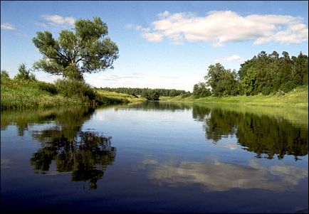 Râuri și lacuri din regiunea Leningrad, pescuind în regiunea Leningrad