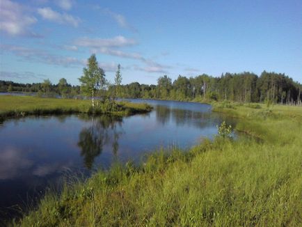 A folyók és tavak a leningrádi régióban, horgászás a leningrádi régióban