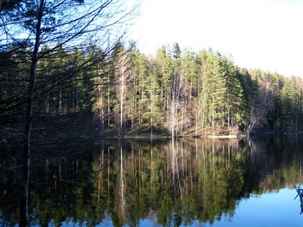 Річки та озера ленінградської області, рибалка в ленінградській області
