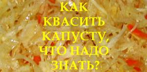 Рецепти засолювання і соління смачною капусти на зиму як солити в домашніх умовах щоб вона була