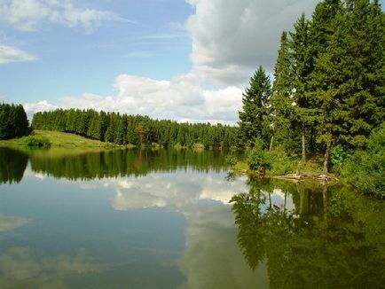 Pescuit în Lenoblast - unde să mergeți pe pescuit plătit, lacuri