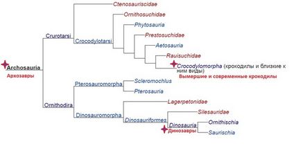 A hozzátartozók dinoszauruszok ma