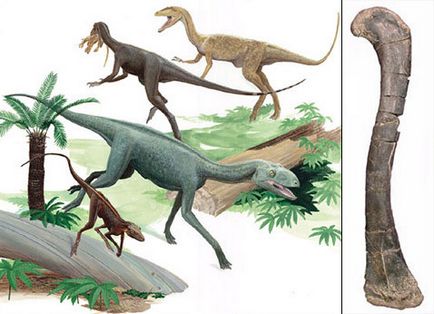 Родичі динозаврів в наші дні