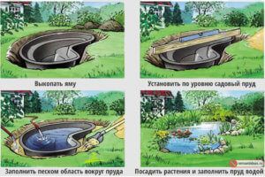 Садовий ставок і фонтан для дачі установка та декорування