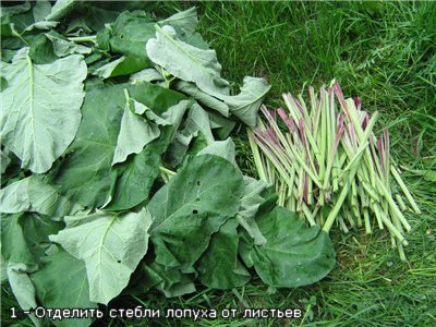 Salata din tulpinile de brusture din Sakhalin
