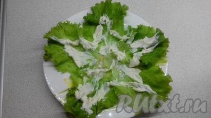 Salata 