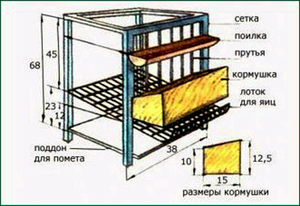 Саморобні клітки для бройлерів розміри і креслення, макети, розведення і вирощування бройлерів в