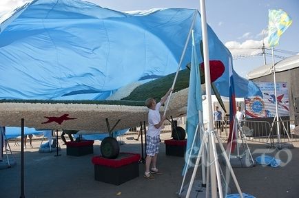 Avion din flori pentru a 100-a aniversare a Forțelor Aeriene, un atelier de design de flori