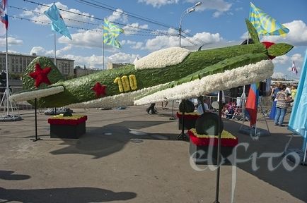 Літак з квітів до 100-річчя ввс, майстерня квіткового дизайну