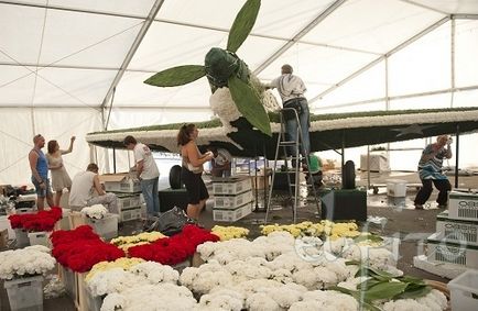 Avion din flori pentru a 100-a aniversare a Forțelor Aeriene, un atelier de design de flori
