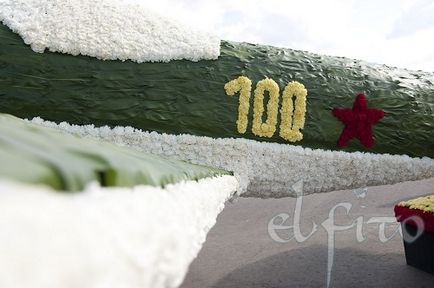 Літак з квітів до 100-річчя ввс, майстерня квіткового дизайну