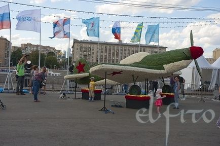 Літак з квітів до 100-річчя ввс, майстерня квіткового дизайну