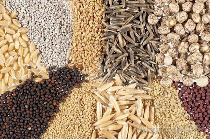 Tratarea semințelor sau tratarea cerealelor