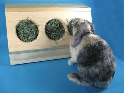 Сінник - це пристосування для кроликів