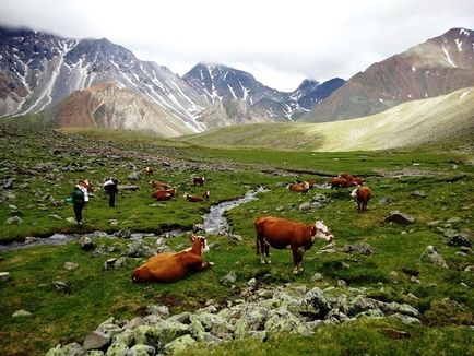 Shumak - Buryat Shamballa, pe care îl putem pierde, Republica