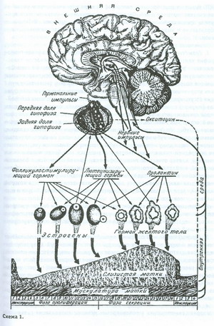 Sindromul sindromului