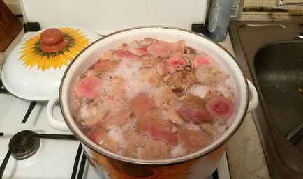 Сироїжки на зиму фото, рецепти приготування грибів з покроковою інструкцією