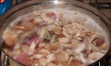 Сироїжки на зиму фото, рецепти приготування грибів з покроковою інструкцією