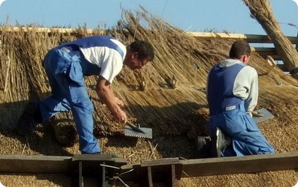 Case de basm din provincia engleza (54 fotografii)