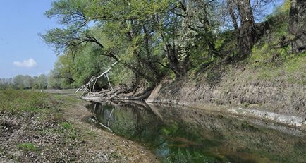 A doua zi de apă moldovenească se poate întâlni fără un nistru