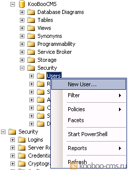 Crearea unei baze de date în serverul ms sql 2008 r2 pentru stocarea conținutului cms kooboo - kooboo cms