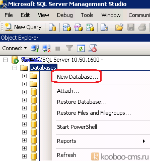 Створення бази даних в ms sql server 2008 r2 для зберігання контенту cms kooboo - kooboo cms на