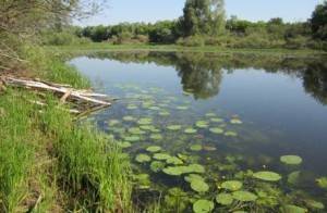 Способи та методи лову на спінінг - як ловити - снасті - все для риболовлі в Петербурзі - портал