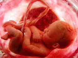 Etape de dezvoltare a embrionului uman în săptămâni