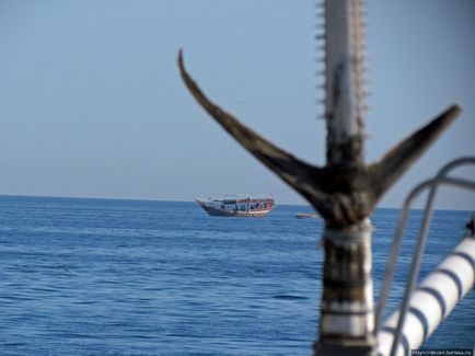 Excursie cu barca de-a lungul Peninsulei Musandam