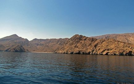 Excursie cu barca de-a lungul Peninsulei Musandam