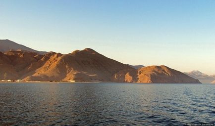 Excursie cu barca de-a lungul Peninsulei Musandam