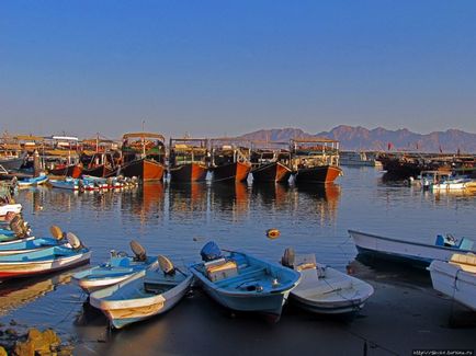 Excursie cu barca de-a lungul Peninsulei Musandam