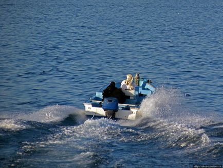 Excursie cu barca de-a lungul Peninsulei Musandam