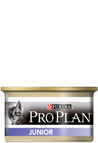 Сухий корм для кошенят з чутливим травленням pro plan junior delicate від purina