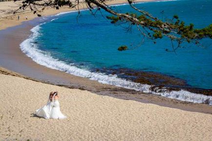 Nunta între două femei, pe plajă, în California, fotografii ale Statelor Unite