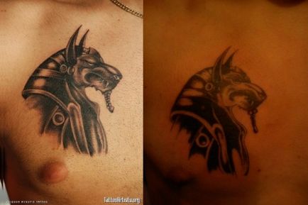 Tatuaje Anubis - bară de studio, fotografie - tatuaj studio