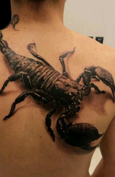 Татуювання скорпіон - значення, ескізи тату і фото