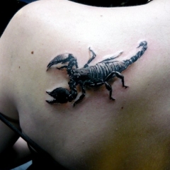 Tattoo scorpion - valoare, schițe de tatuaje și fotografii